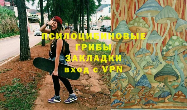 мдпв Вязьма
