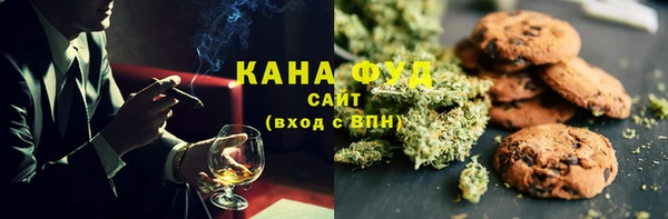 мдпв Вязьма