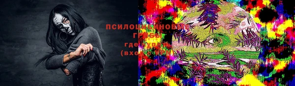 мдпв Вязьма